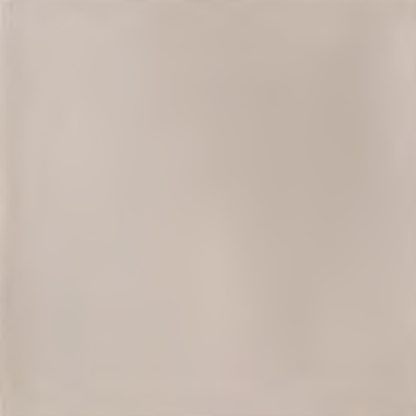 vtwonen Tegels 100X100 Chop Bone
