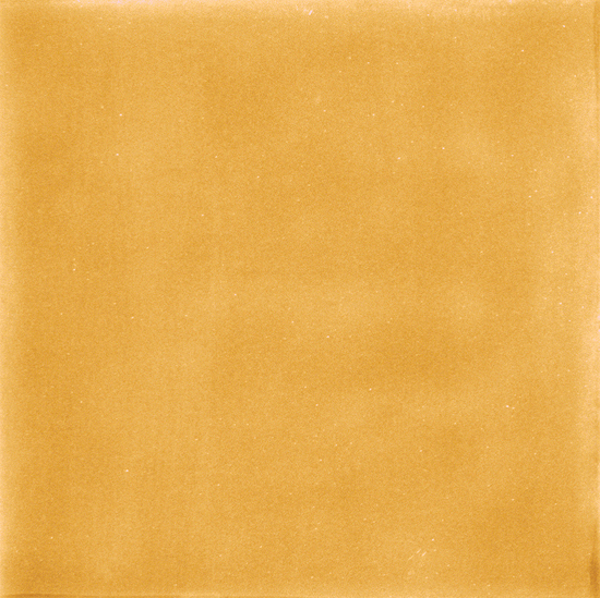 vtwonen Tegels 116X116 Sweets Miele Glossy