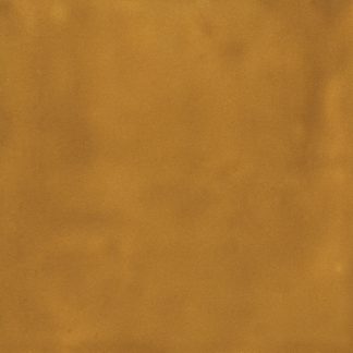 vtwonen Tegels 116X116 Sweets Caramello Glossy