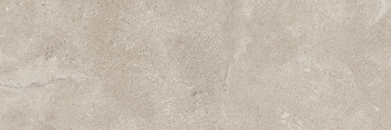 vtwonen Tegels 300X900 Portland Taupe Mat