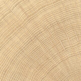 vtwonen tegels 100X100 Woodcirkle Oak