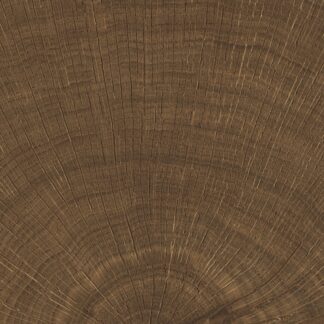 vtwonen tegels 100X100 Woodcirkle Wenge