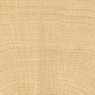 vtwonen tegels 053X300 Woodcirkle Oak