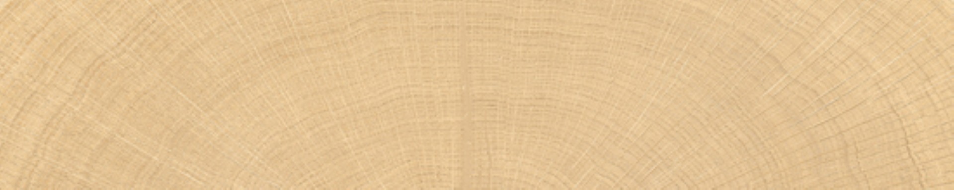 vtwonen tegels 053X300 Woodcirkle Oak