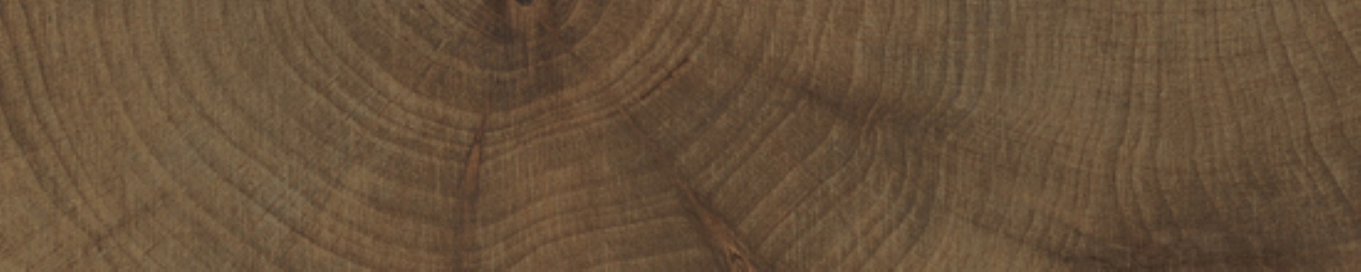 vtwonen tegels 053X300 Woodcirkle Wenge