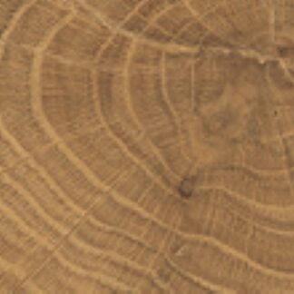 vtwonen tegels 053X300 Woodcirkle Walnutt