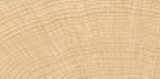 vtwonen tegels 100X1200 Woodcirkle Oak