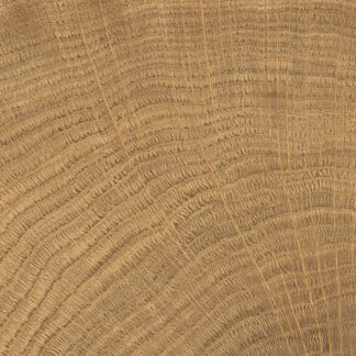 vtwonen tegels 100X100 Woodcirkle Walnutt
